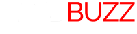 website size